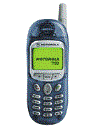 Best available price of Motorola T190 in Ghana
