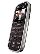 Best available price of Motorola WX288 in Ghana