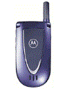 Best available price of Motorola V66i in Ghana